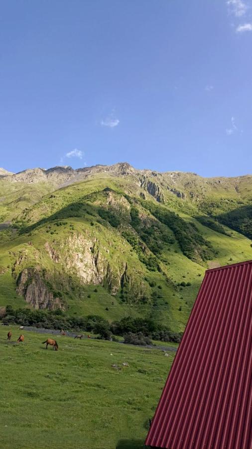 Mountain Flower Cottage Kazbegi Extérieur photo