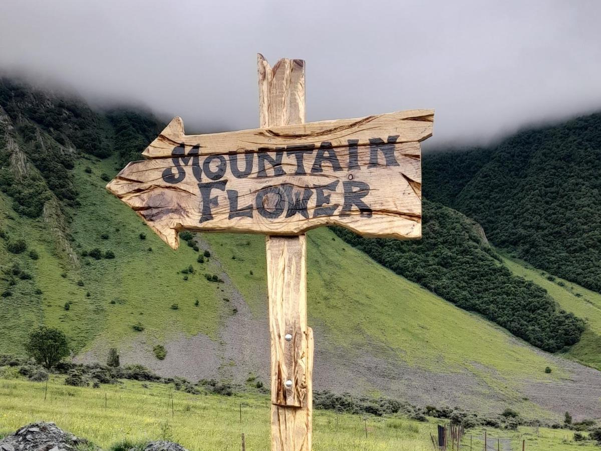 Mountain Flower Cottage Kazbegi Extérieur photo