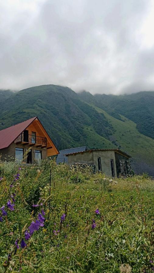 Mountain Flower Cottage Kazbegi Extérieur photo